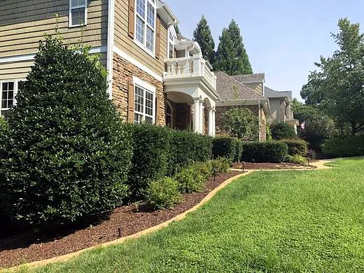 Overgrown hedges and shaggy lawn in front of a two-story home before service