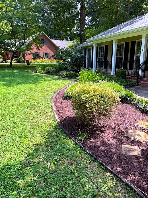 Freshly weeded, mulched and edged curved bed after service