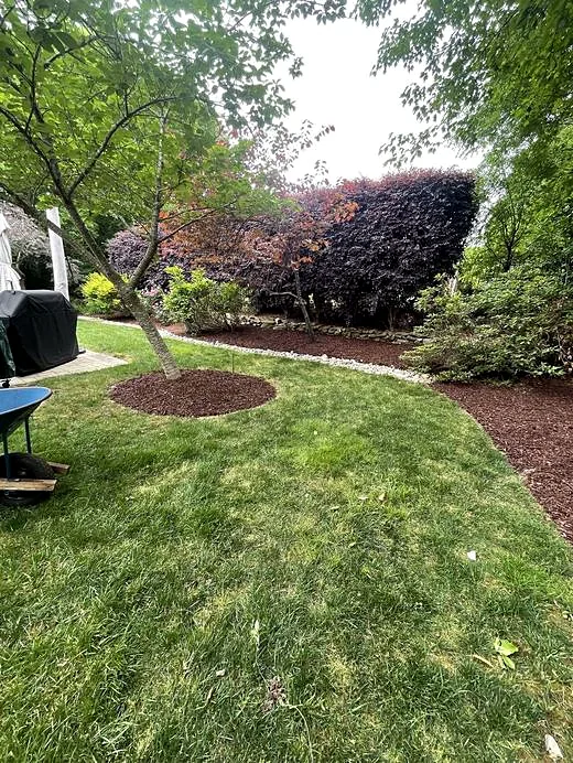 Finished lawn and landscaping beds