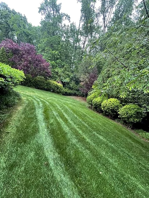 Lawn Mowing by Carolina Premier