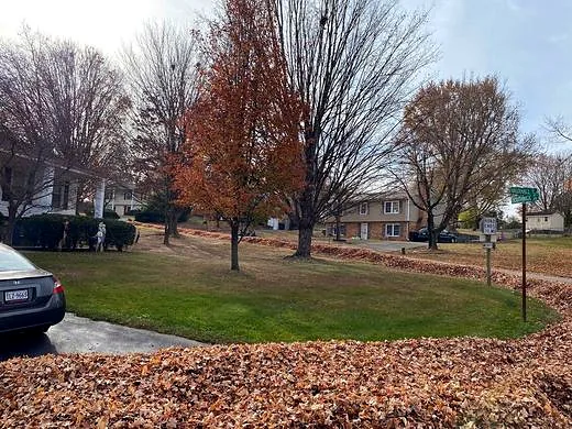 Leaf Removal by Carolina Premier