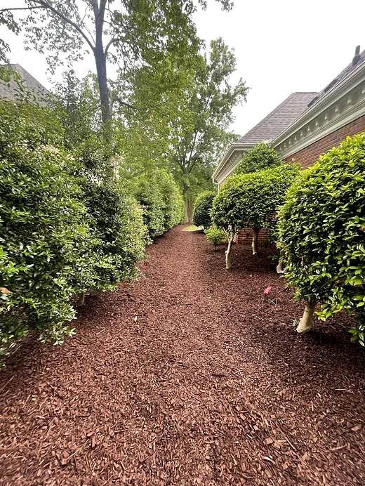 Mulch Installation by Carolina Premier