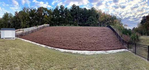 Pine Straw by Carolina Premier