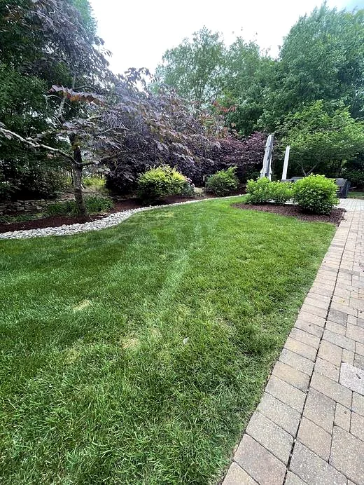 Backyard paver walkway with stone drainage border